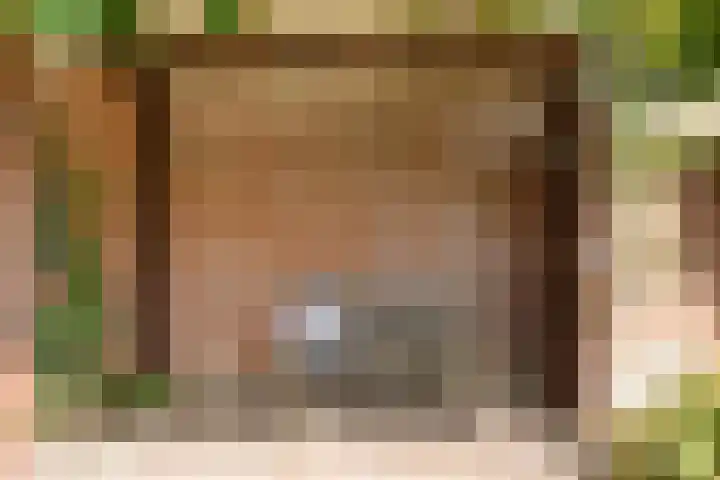 Julianaplein 12 Denekamp thumbnail 25