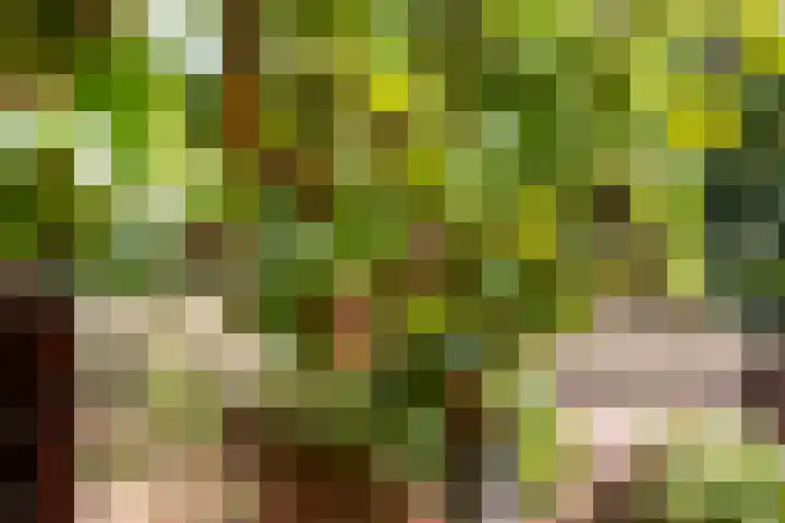 Julianaplein 12 Denekamp thumbnail 28