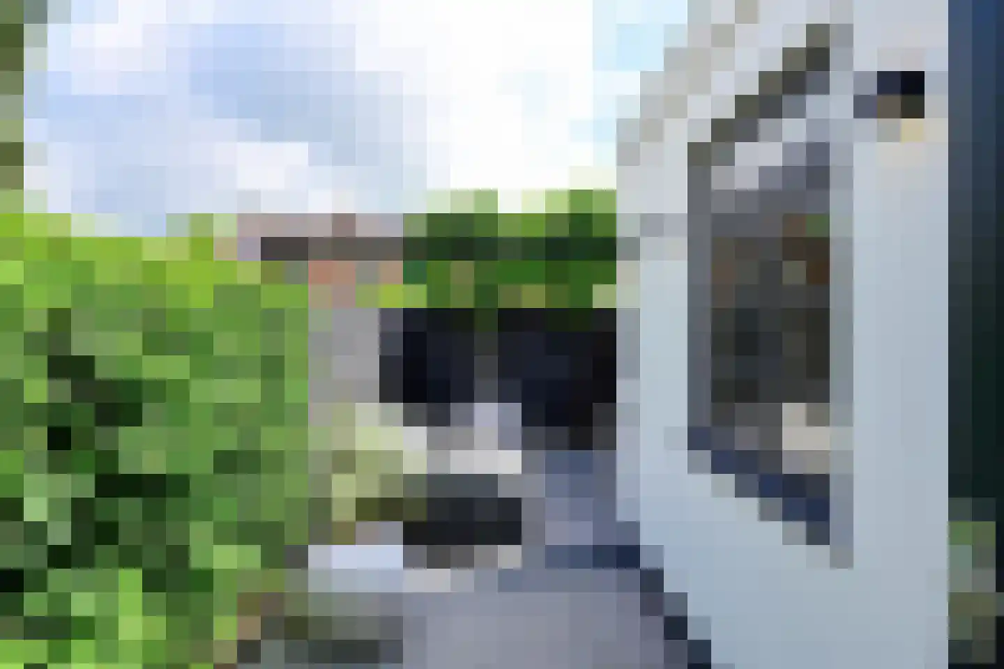 Julianaplein 12 Hoorn thumbnail 14