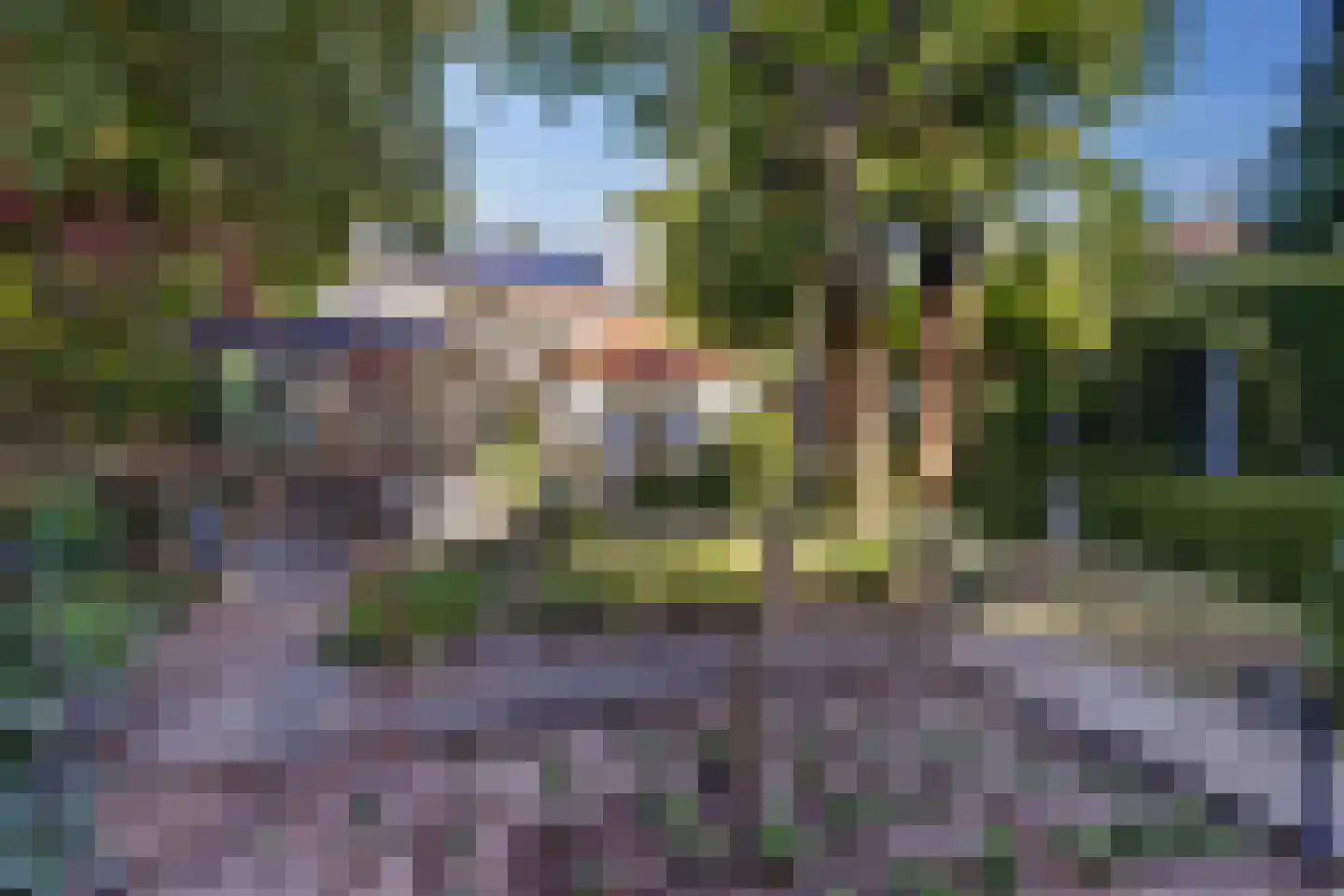 Julianaplein 15 Bladel thumbnail 34