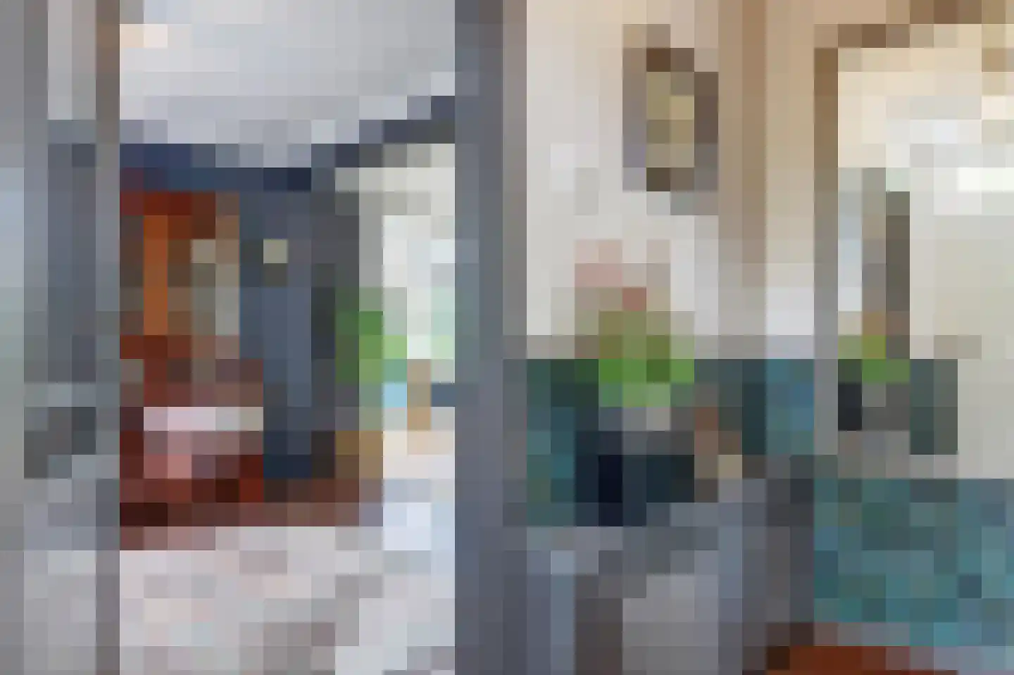 Julianaplein 15 Bladel thumbnail 6