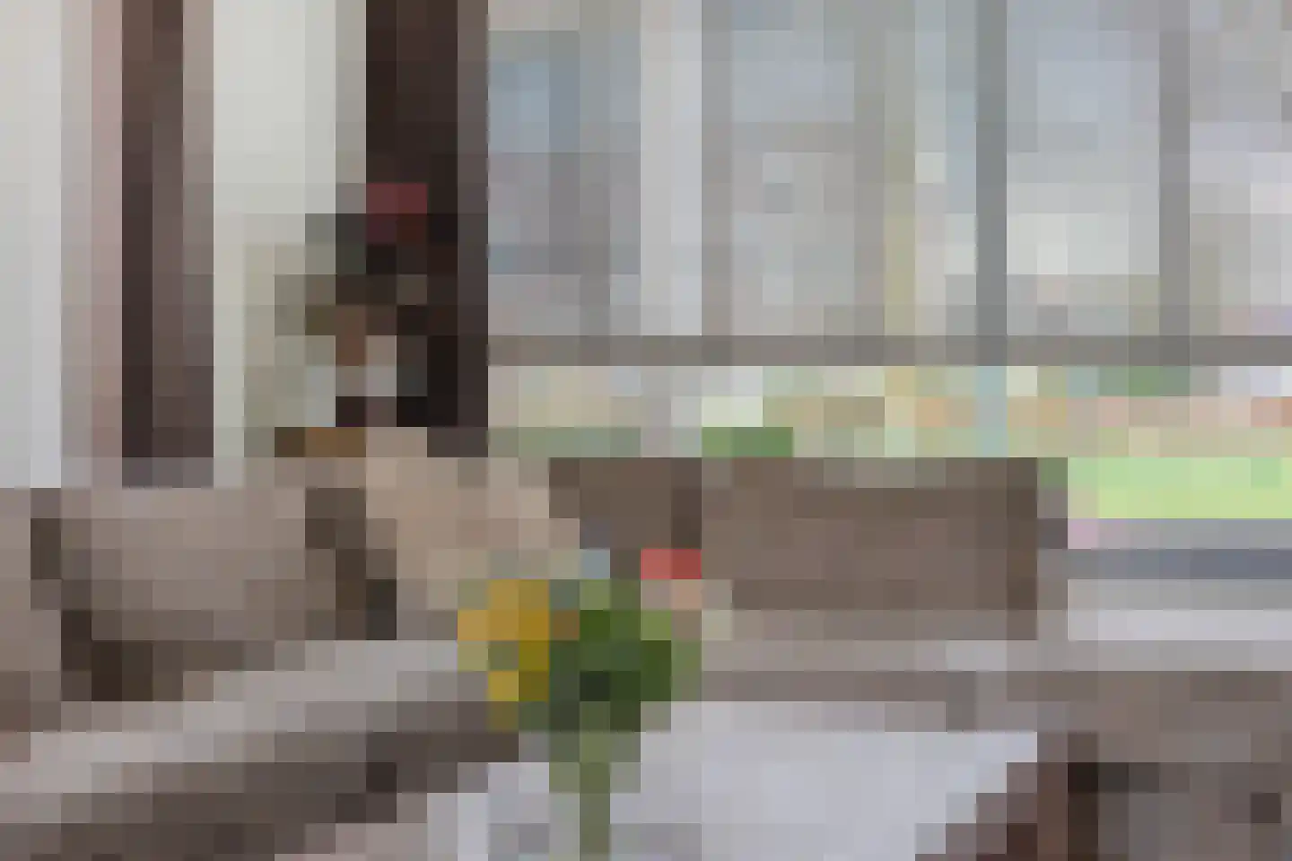Julianaplein 17 Bladel thumbnail 10