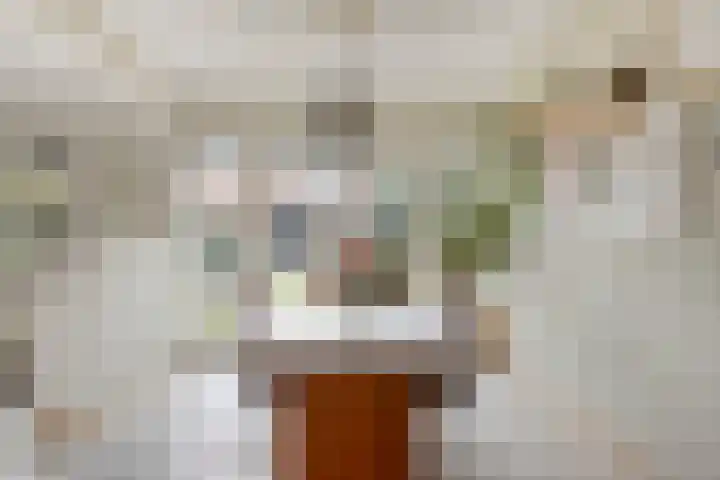 Julianaplein 17 Bladel thumbnail 10