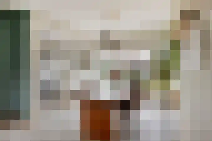 Julianaplein 17 Bladel thumbnail 12