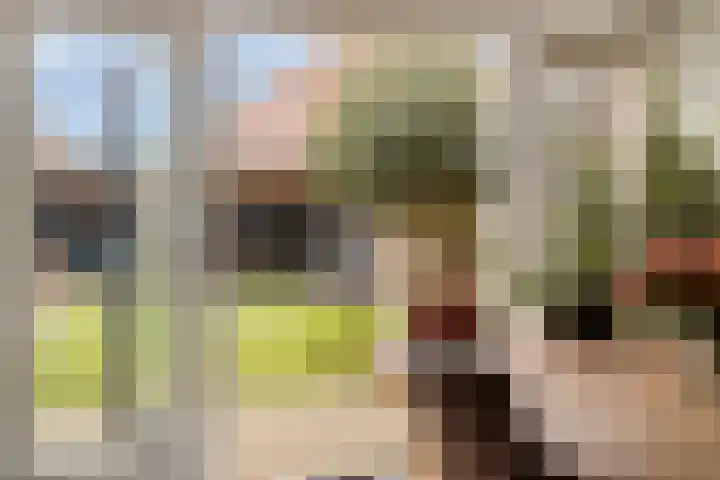Julianaplein 17 Bladel thumbnail 13