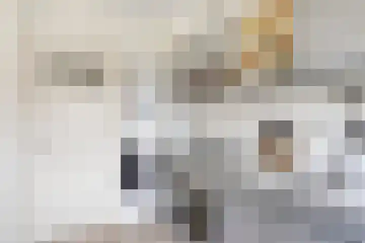 Julianaplein 17 Bladel thumbnail 16