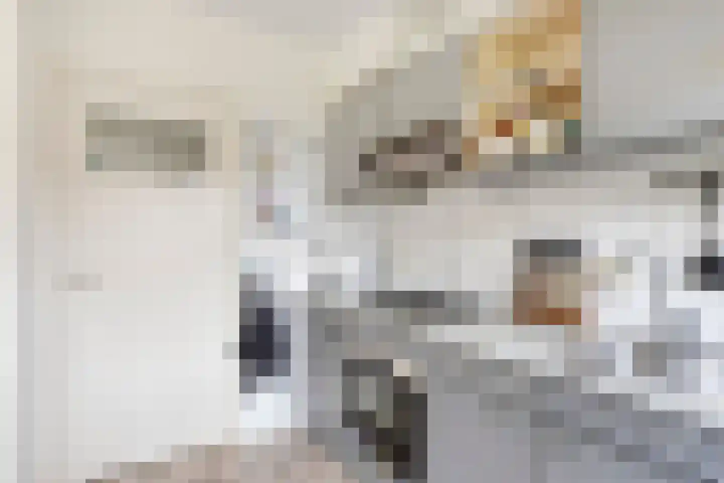 Julianaplein 17 Bladel thumbnail 17