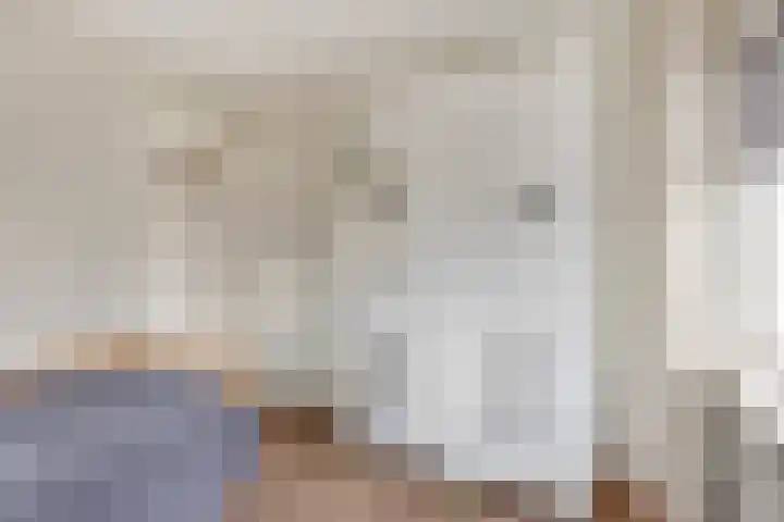Julianaplein 17 Bladel thumbnail 22