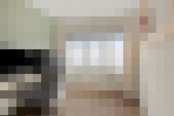 Julianaplein 17 Bladel thumbnail 27