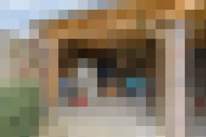 Julianaplein 17 Bladel thumbnail 36