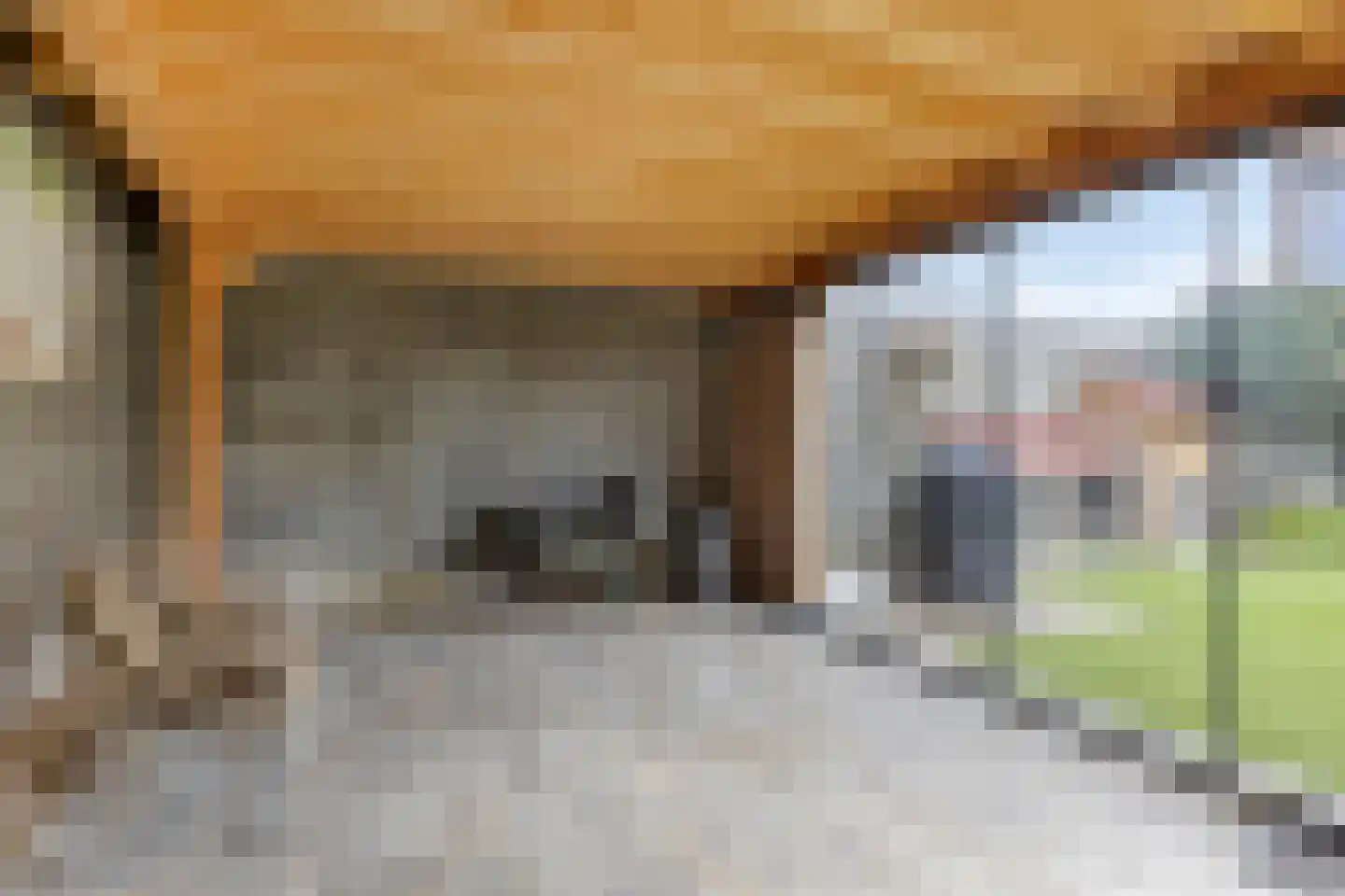 Julianaplein 17 Bladel thumbnail 37