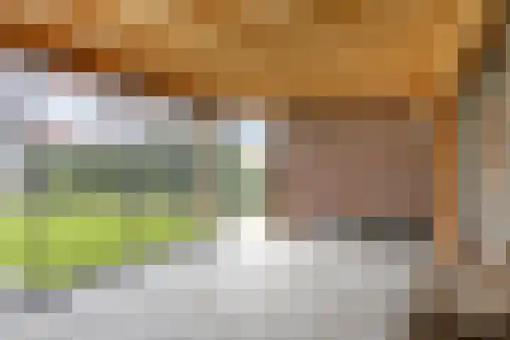 Julianaplein 17 Bladel thumbnail 38