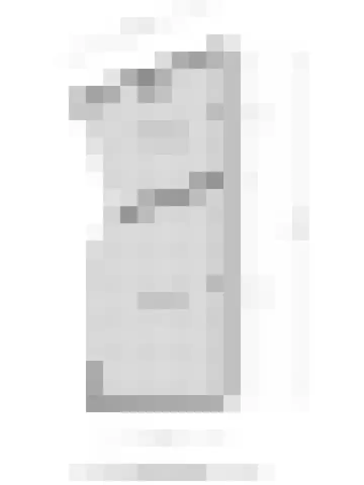 Julianaplein 17 Bladel thumbnail 47