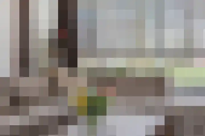 Julianaplein 17 Bladel thumbnail 8
