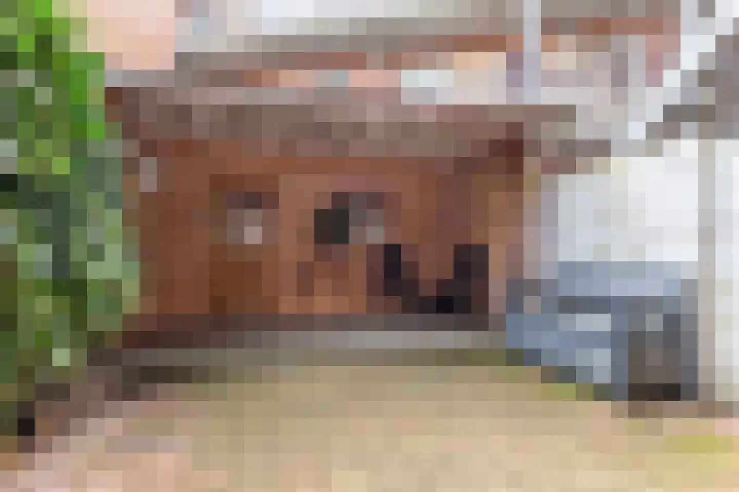 Julianaplein 17 Wijk aan Zee thumbnail 32