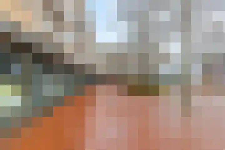 Julianaplein 18 Bussum thumbnail 23