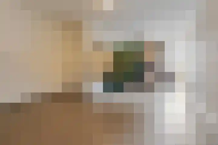 Julianaplein 18 Bussum thumbnail 24