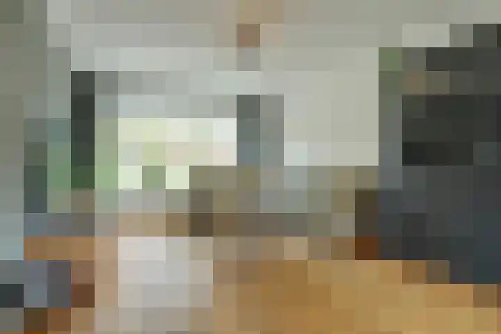 Julianaplein 19 Bladel thumbnail 17