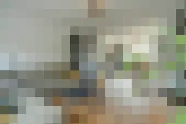 Julianaplein 19 Bladel thumbnail 18