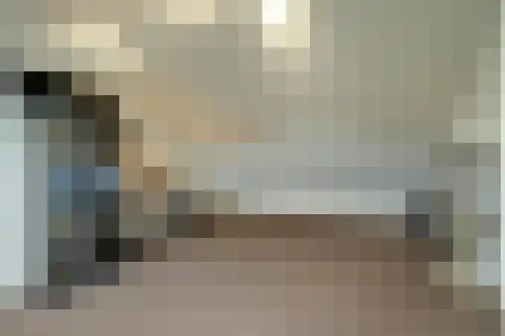 Julianaplein 19 Bladel thumbnail 35
