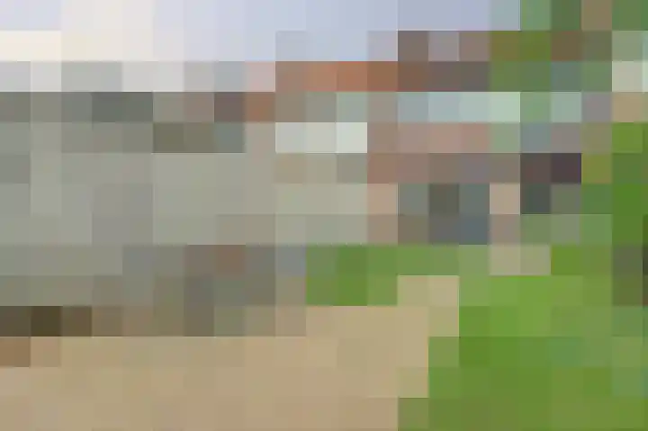 Julianaplein 19 Bladel thumbnail 43