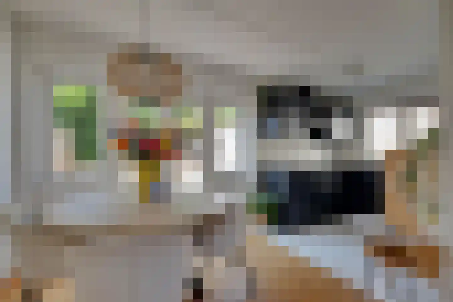Julianaplein 19 Tolkamer thumbnail 11