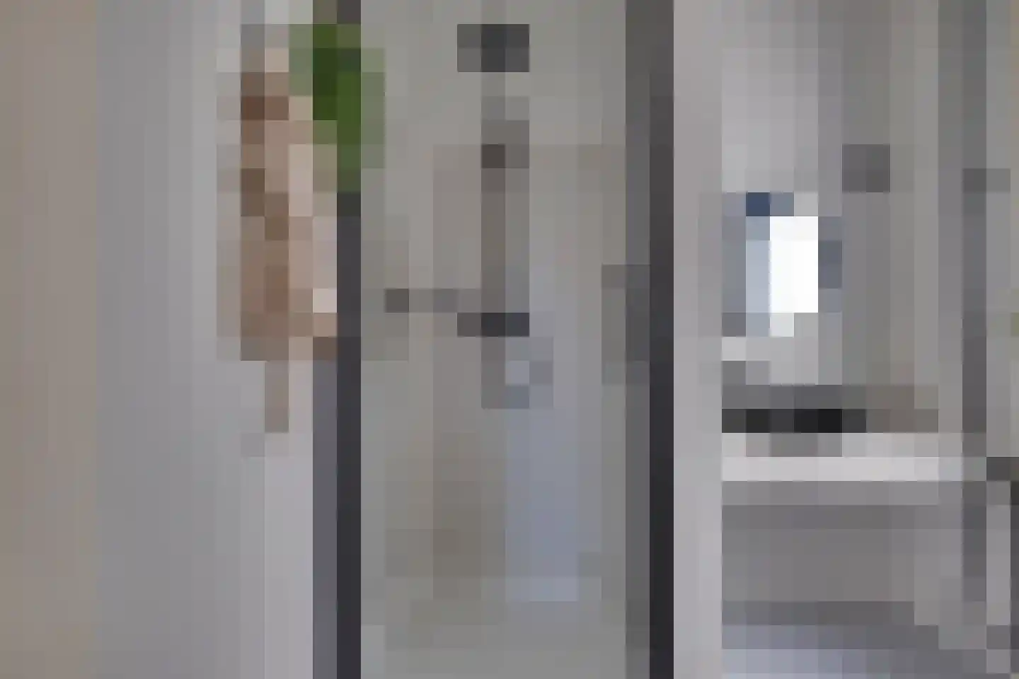 Julianaplein 19 Tolkamer thumbnail 15