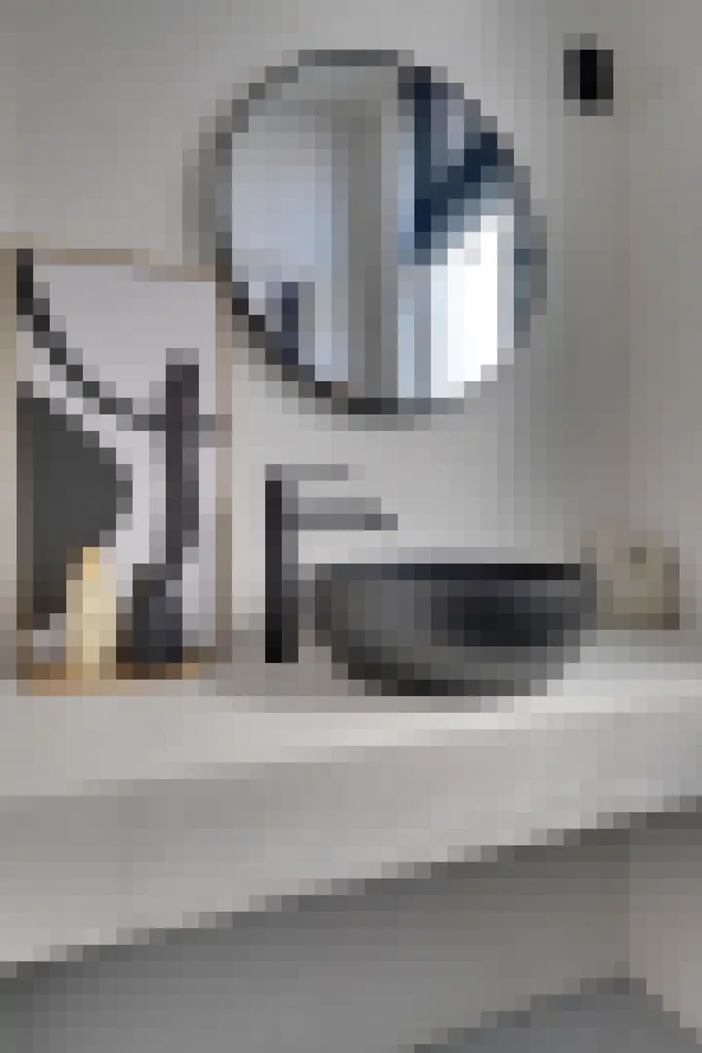Julianaplein 19 Tolkamer thumbnail 16