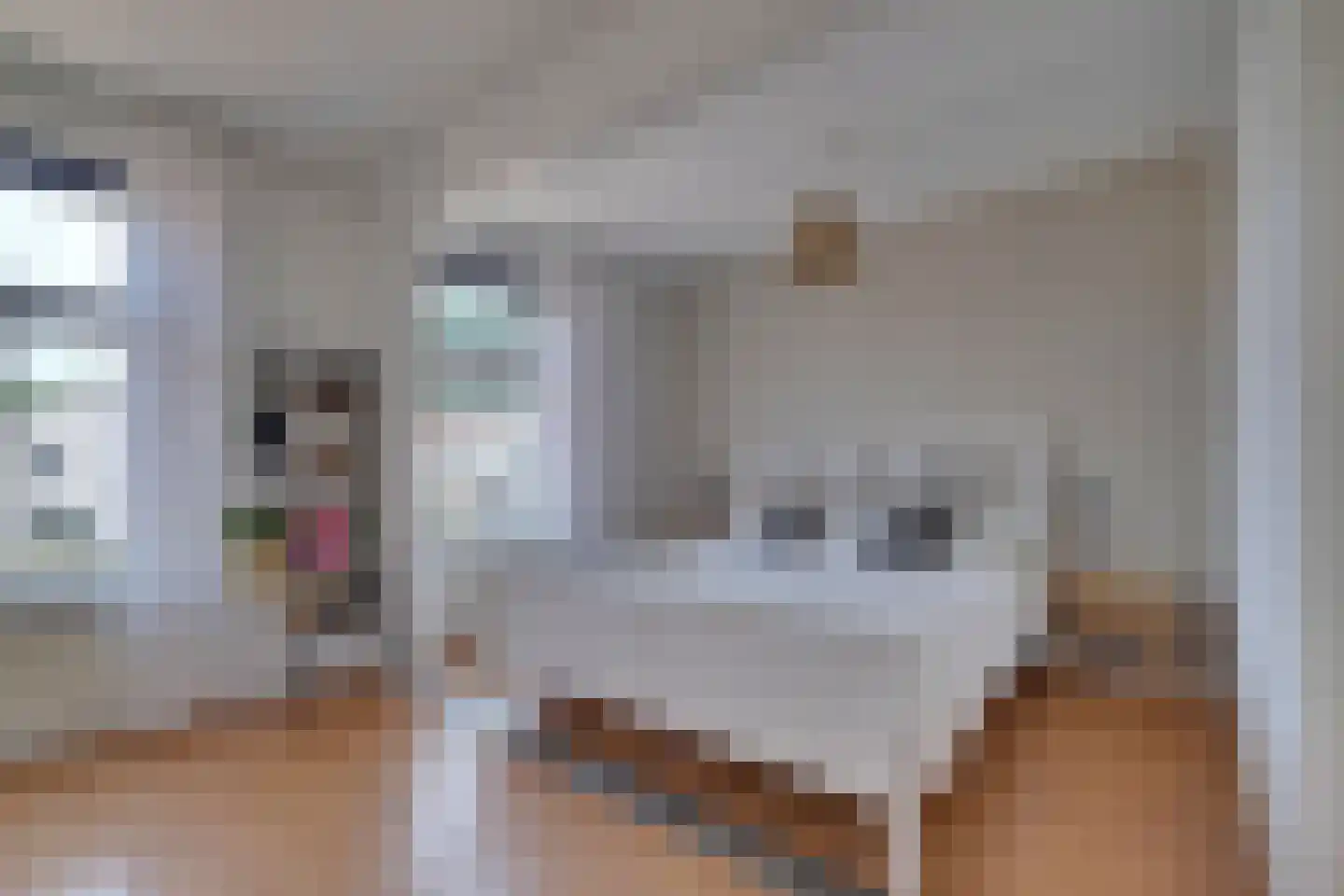 Julianaplein 19 Tolkamer thumbnail 17