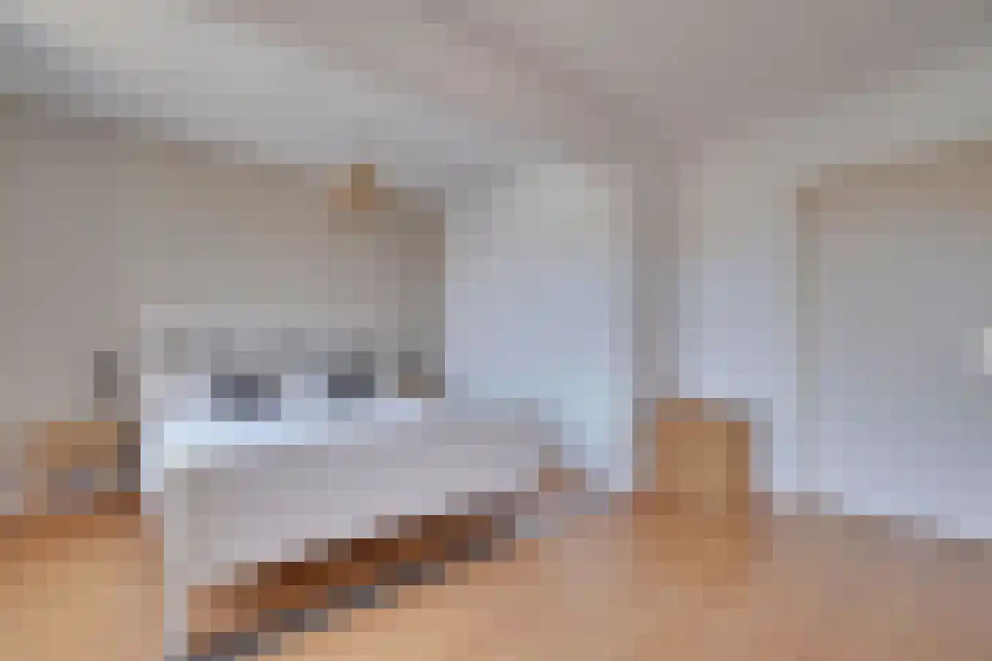 Julianaplein 19 Tolkamer thumbnail 20