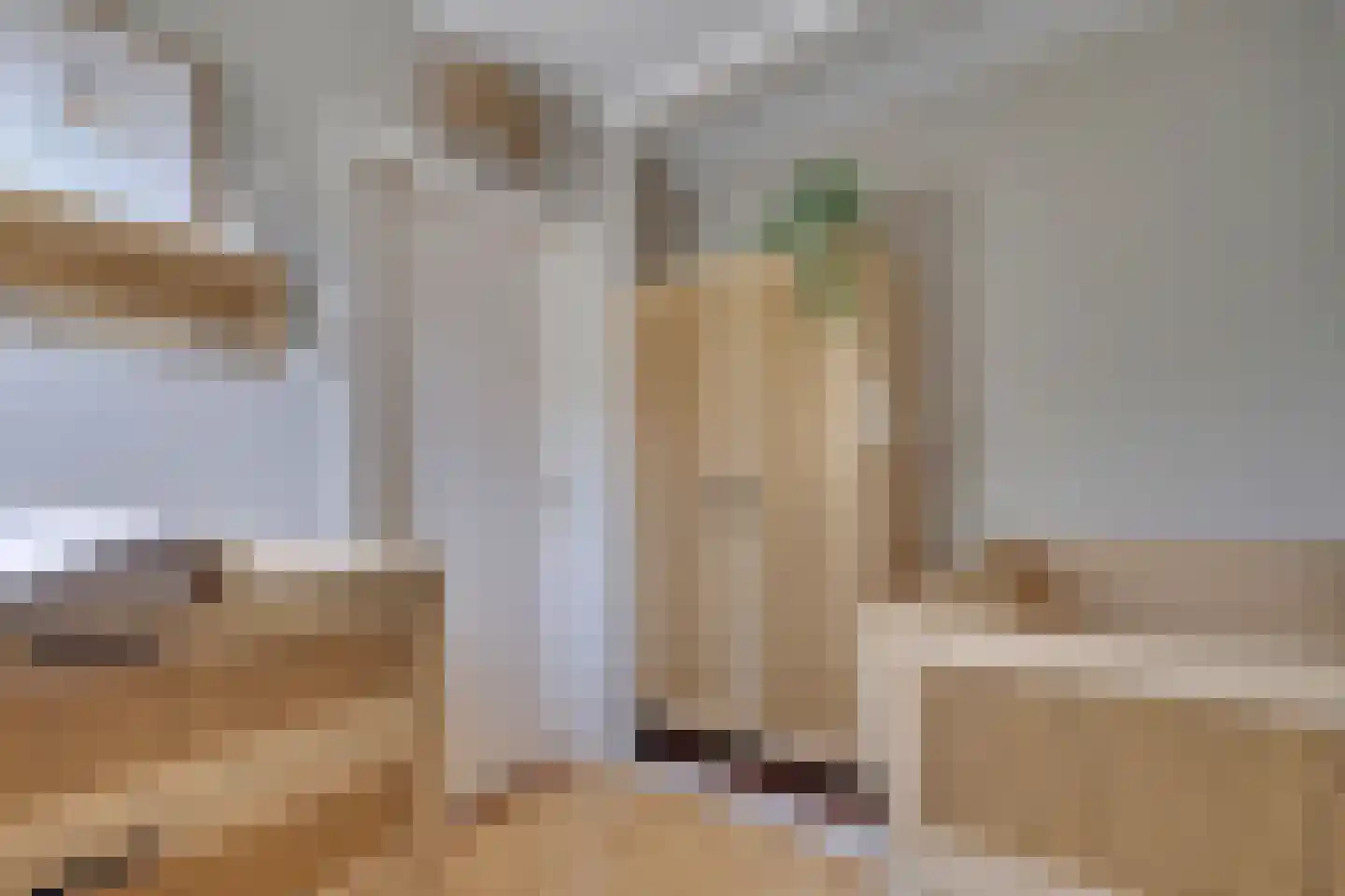 Julianaplein 19 Tolkamer thumbnail 22