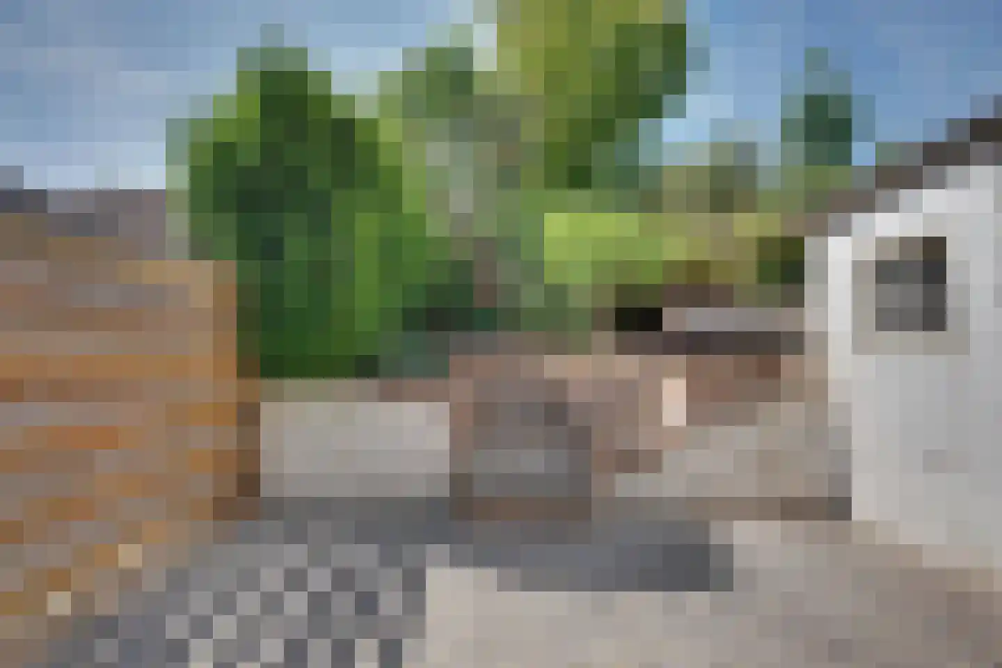 Julianaplein 19 Tolkamer thumbnail 24
