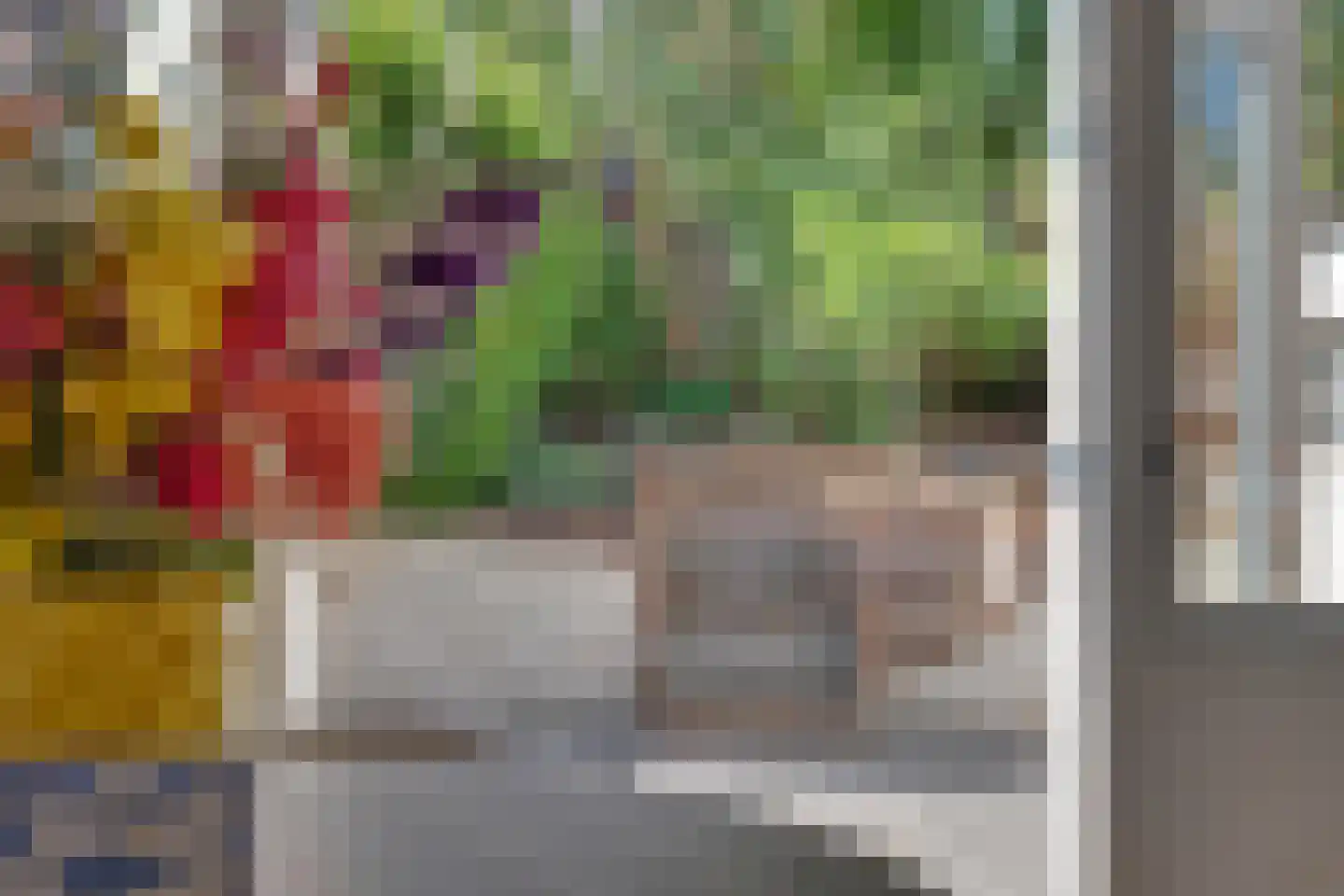 Julianaplein 19 Tolkamer thumbnail 4