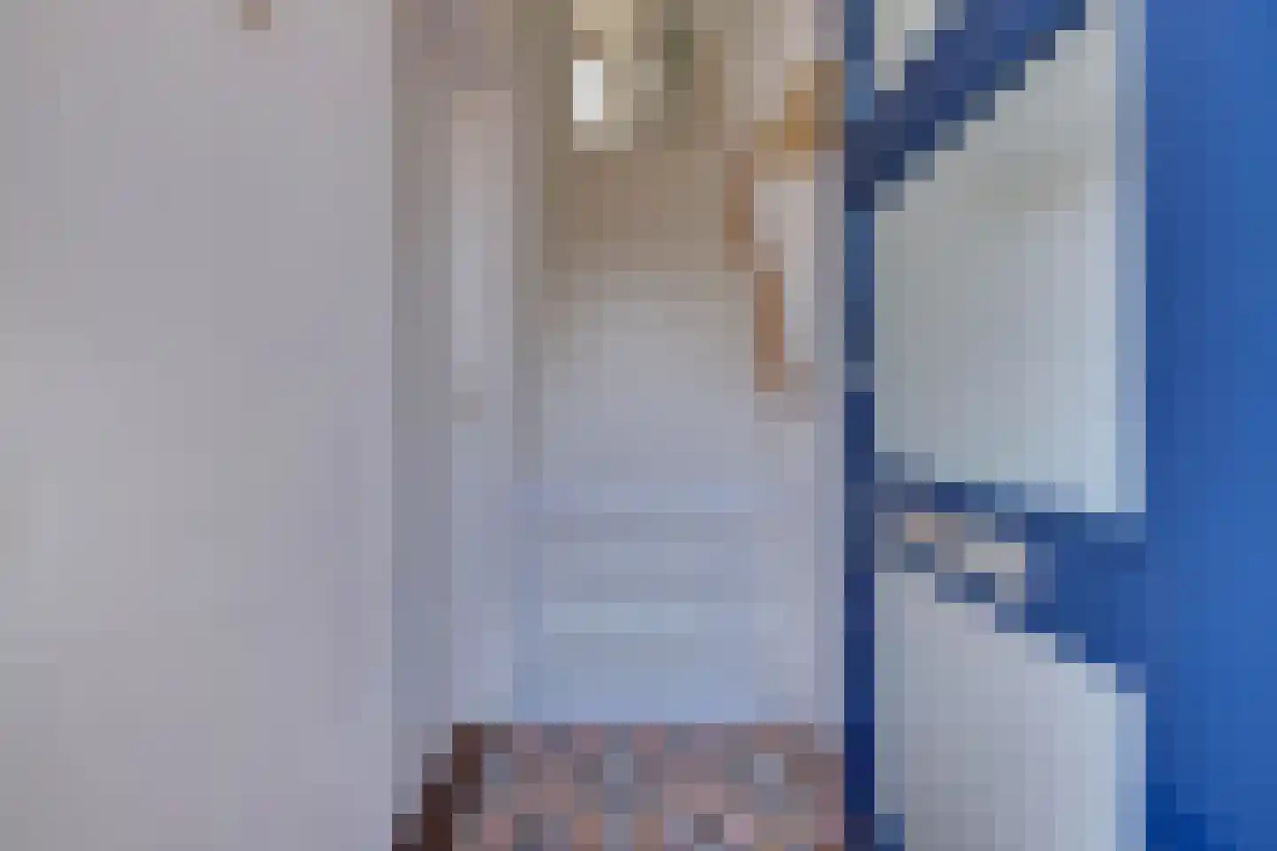 Julianaplein 19 Tolkamer thumbnail 7