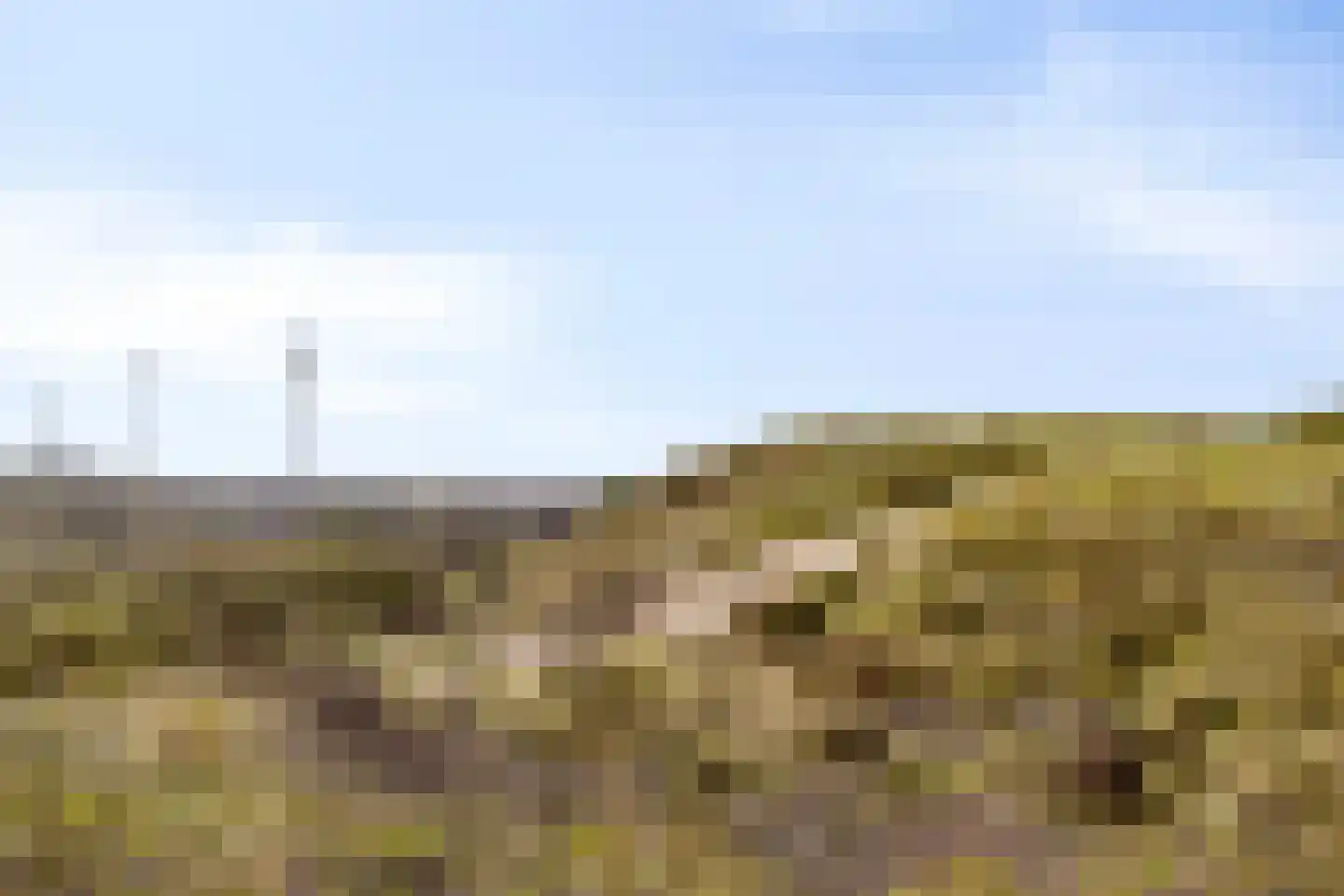 Julianaplein 19 Wijk aan Zee thumbnail 29