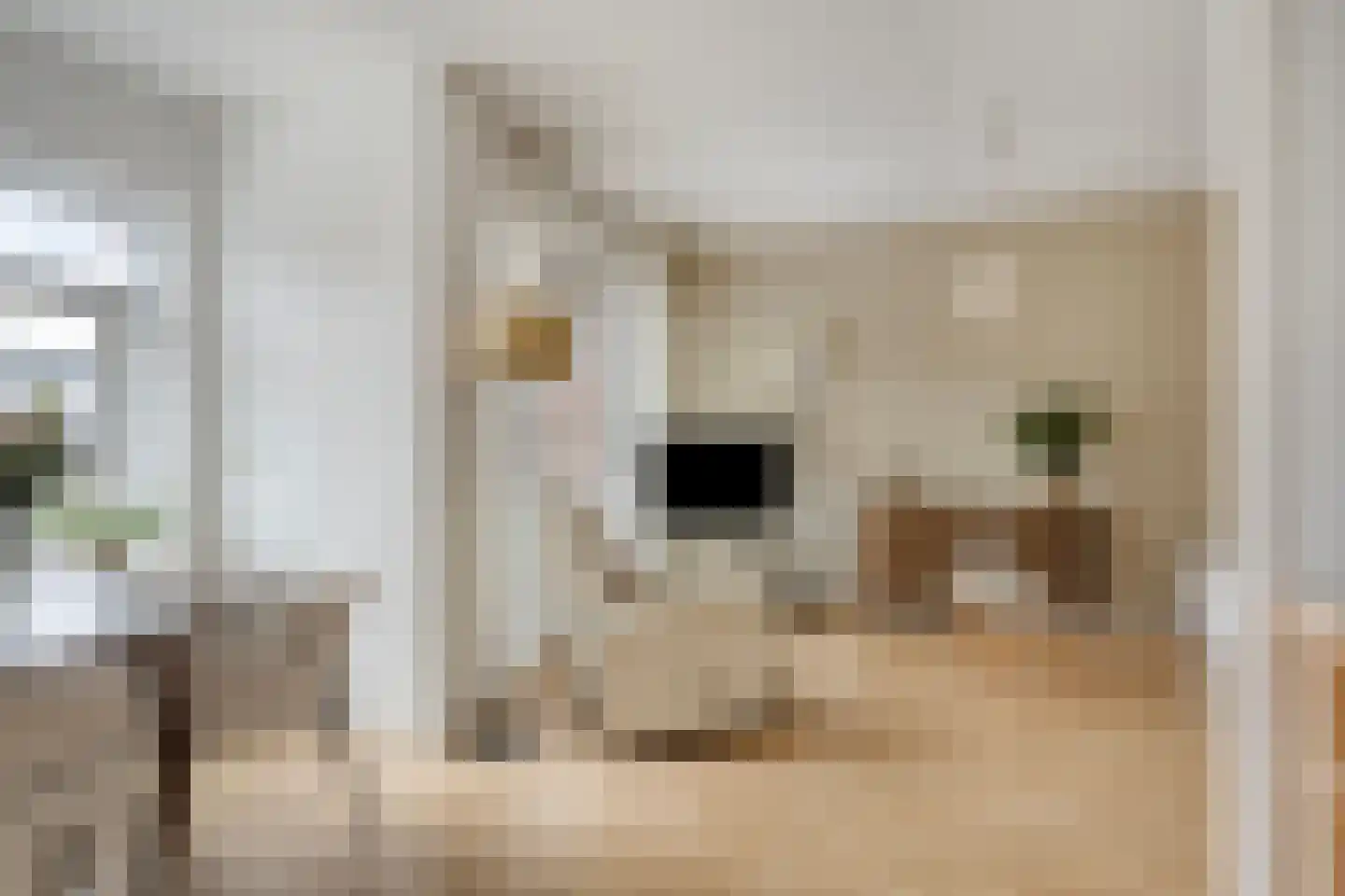Julianaplein 19 Wijk aan Zee thumbnail 7