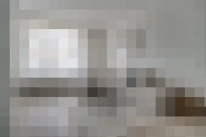 Julianaplein 21 Tolkamer thumbnail 12