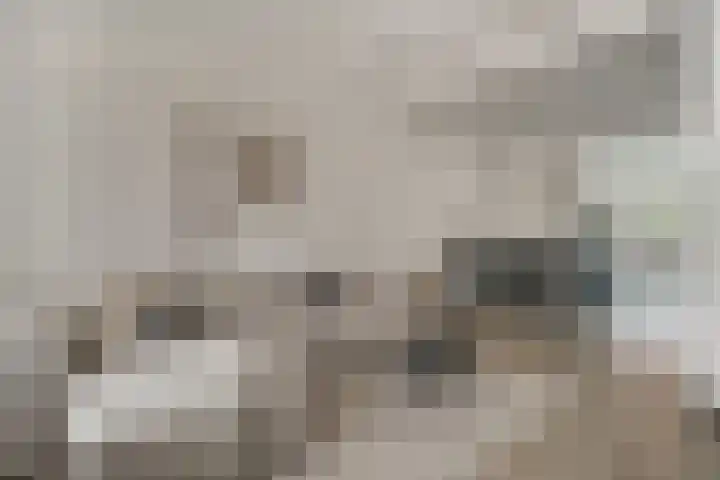 Julianaplein 21 Tolkamer thumbnail 14