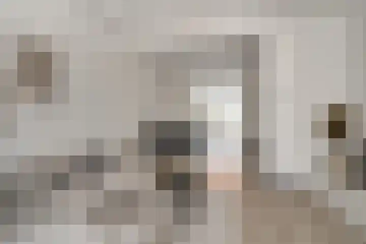 Julianaplein 21 Tolkamer thumbnail 15
