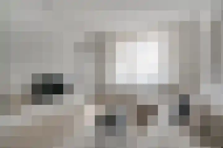 Julianaplein 21 Tolkamer thumbnail 16