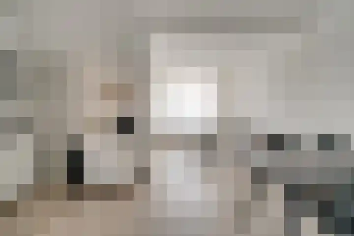 Julianaplein 21 Tolkamer thumbnail 17