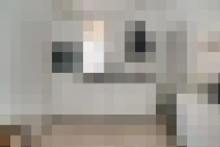 Julianaplein 21 Tolkamer thumbnail 18