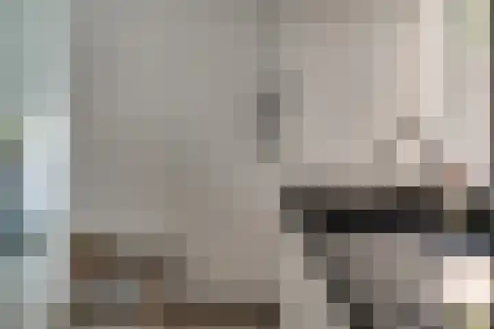 Julianaplein 21 Tolkamer thumbnail 19