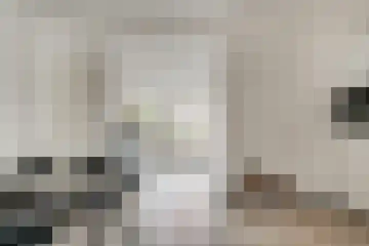 Julianaplein 21 Tolkamer thumbnail 20