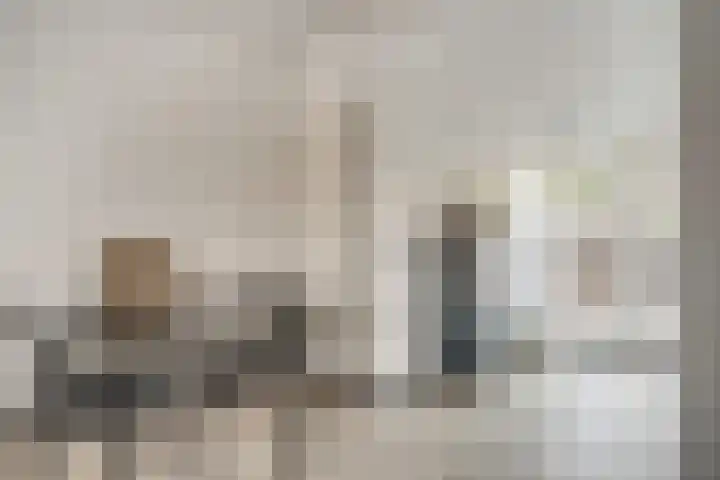 Julianaplein 21 Tolkamer thumbnail 21