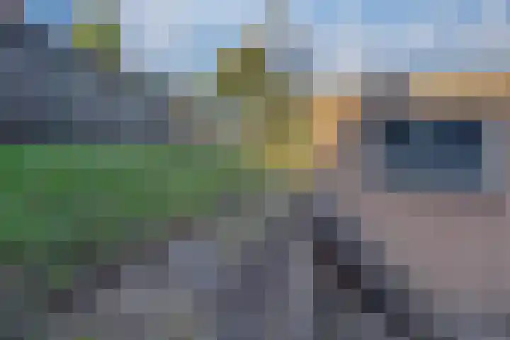 Julianaplein 21 Tolkamer thumbnail 27