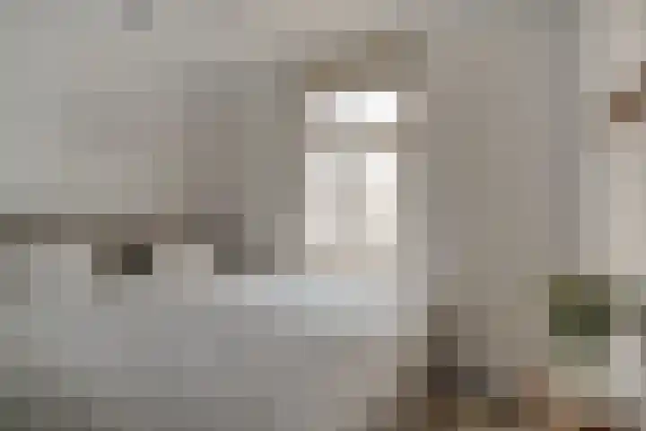 Julianaplein 21 Tolkamer thumbnail 31