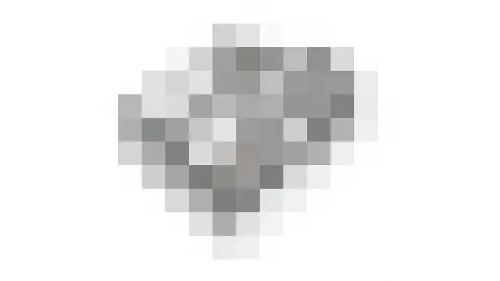 Julianaplein 21 Tolkamer thumbnail 42