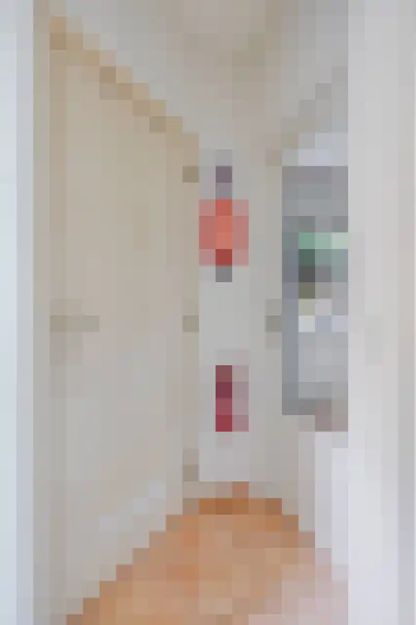 Julianaplein 23 Tolkamer thumbnail 12