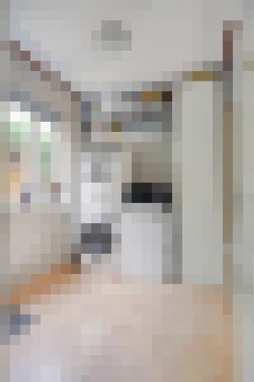 Julianaplein 23 Tolkamer thumbnail 13